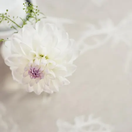 Skihotel Galzig 圣安东阿尔贝格