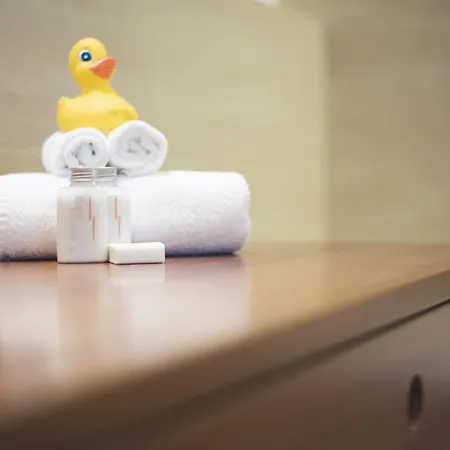 Skihotel Galzig 酒店