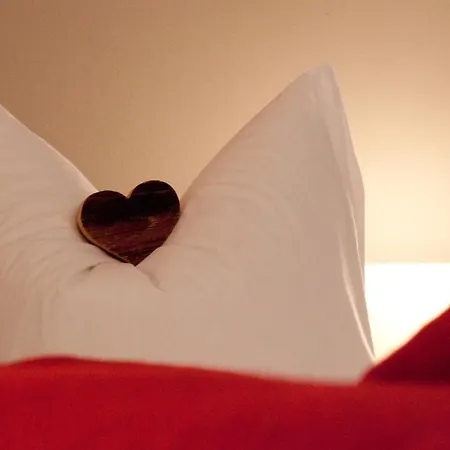 Skihotel Galzig 4* 圣安东阿尔贝格