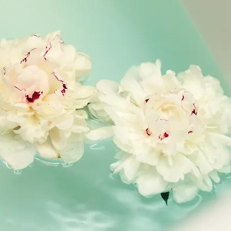 Szálloda Skihotel Galzig Sankt Anton am Arlberg