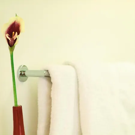 Skihotel Galzig 酒店