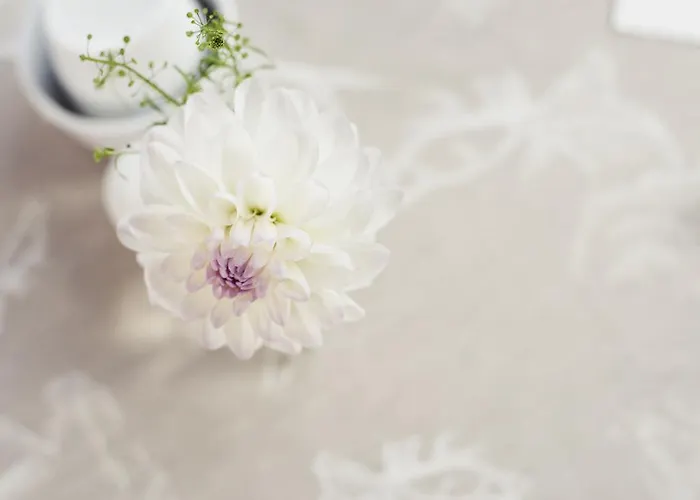 Skihotel Galzig St. Anton am Arlberg