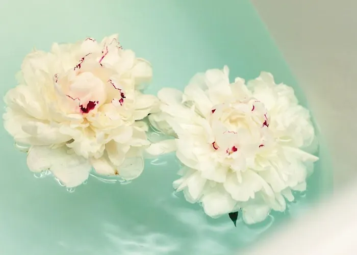 Hotel Skihotel Galzig St. Anton am Arlberg