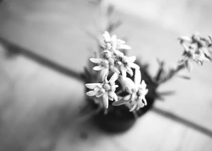 Skihotel Galzig ホテル 4*