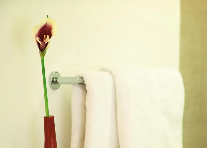 Skihotel Galzig מלון